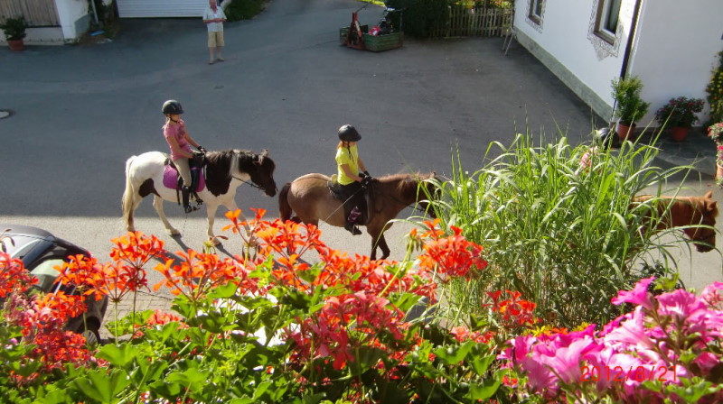 bild(3)